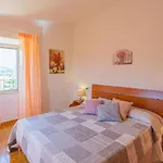 Casa vacanze Erika By Interhome Ripatransone